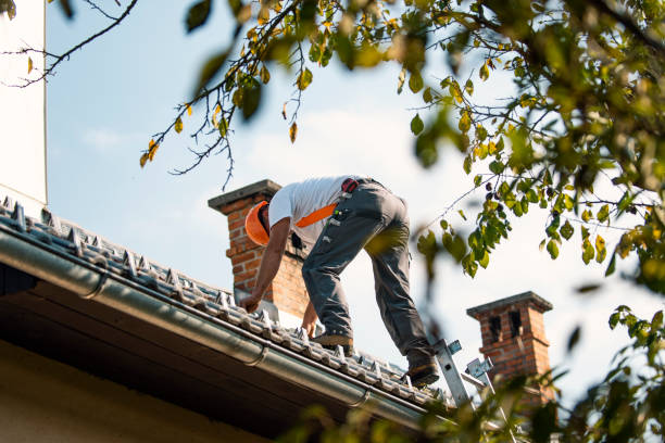 Best Residential Roof Replacement  in Perry, LA
