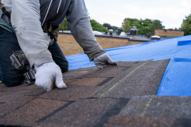 Best Commercial Roofing Services  in Perry, LA