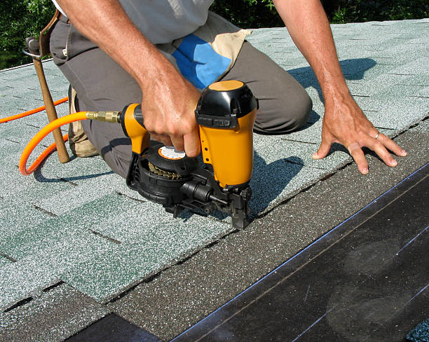 Best Roof Gutter Cleaning  in Perry, LA