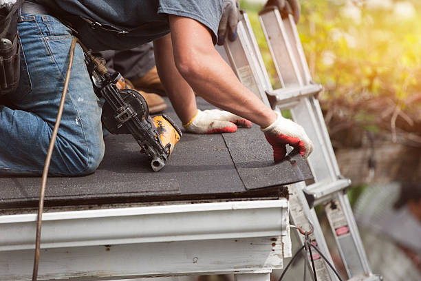 Best Shingle Roofing Installation  in Perry, LA